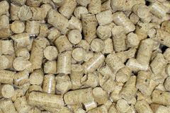Tidbury Green biomass boiler costs